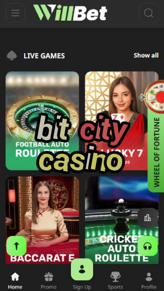Bit City Casino - Crypto Metaverse Casino-casinodogs.ydblkf.net